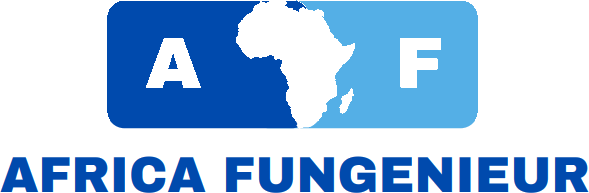 Africa Fungenieur